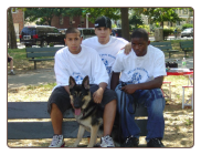 Dog Training Camp - Juniper Valley Park - Queens